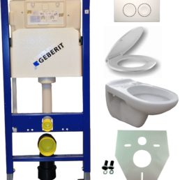 Wiesbaden Geberit UP 100 +Neptunus WC+ Nept.zitt.+ Delta 21 wit