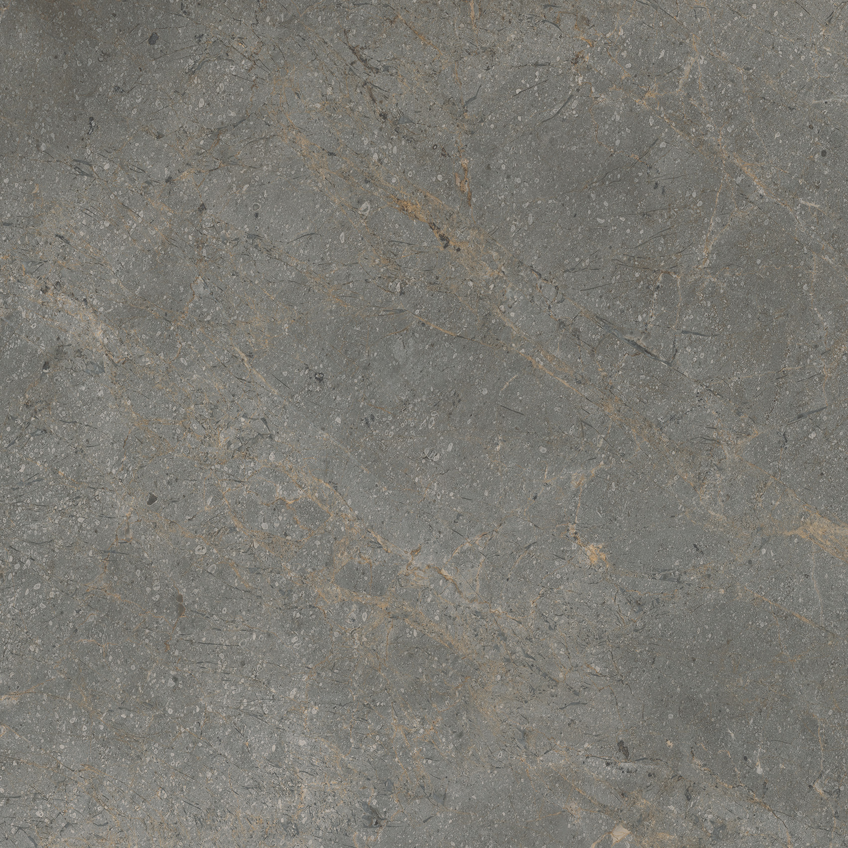 Vloertegel Masterstone graphite 60x60 rect Vloertegel Masterstone graphite 60x60 rect