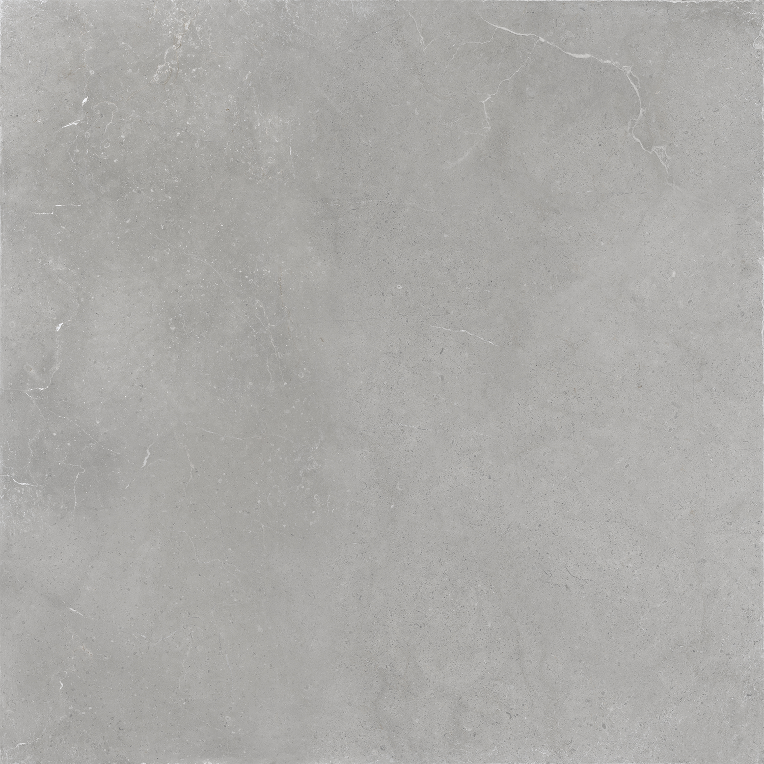 Wandtegel Overland Antracite Groove 60x120 rett Vloertegel Hollstone Opal 120x120 rett