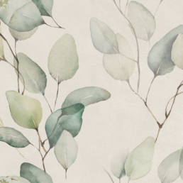 Wandtegel Alure Ivory Lipra decor 25x50