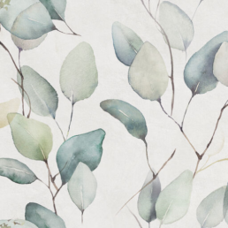 Wandtegel Alure White Lipra decor 25x50 Wandtegel Alure White Lipra decor 25x50